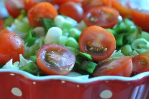Grøn salat med iceberg, tomat og forårsløg