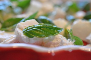 Tomatsalat med feta & basilikum - nem opskrift