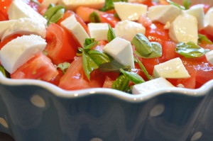 Tomatsalat med olie eddike dressing & mozzarella - opskrift