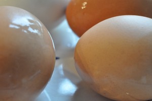 Æggeretter - opskrifter på lækre retter med æg