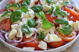 Tomatsalat med mozzarella, basilikum & rødløg