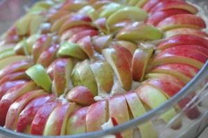 Æblekage med kanel - nem & fedtfattig opskrift