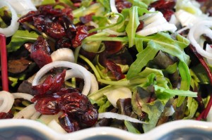 Rucola salat med tranebær og forårsløg - nem