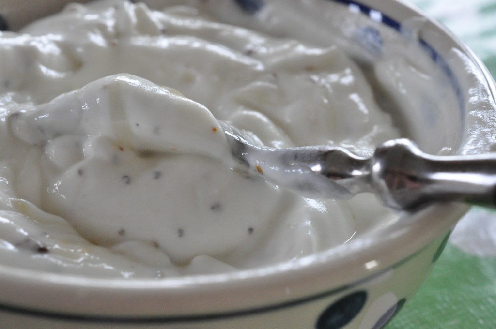 Yoghurt dressing med græsk yoghurt opskrift