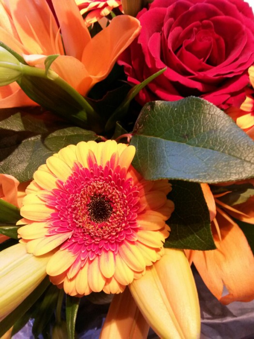 wpid-20141219_132726.jpg