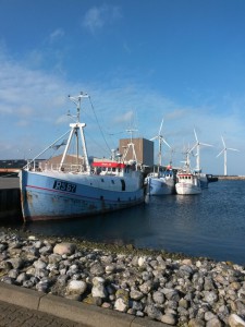 Bønnerup Havn og på besøg hos fiskemanden