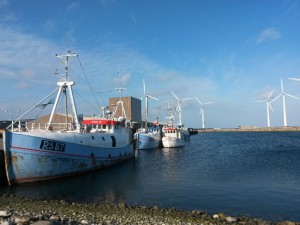 Bønnerup Havn og på besøg hos fiskemanden