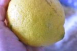 Citronkage med birkes - saftig citron kage